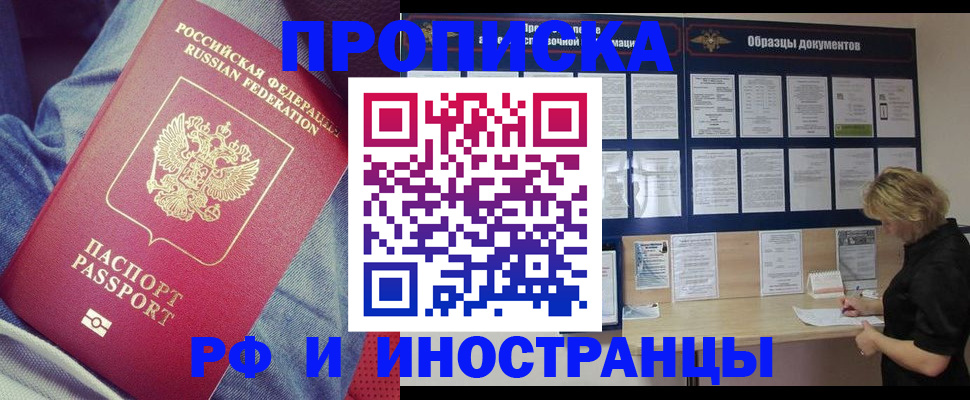 прописка для школы в Елизово